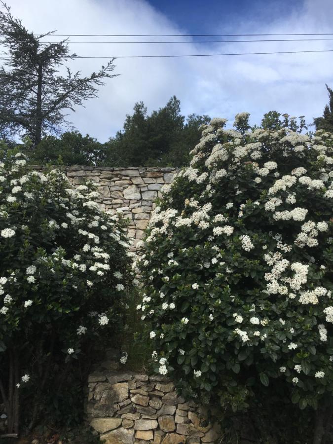 La Chambre Haute Et Son Spa Nimes Exterior photo